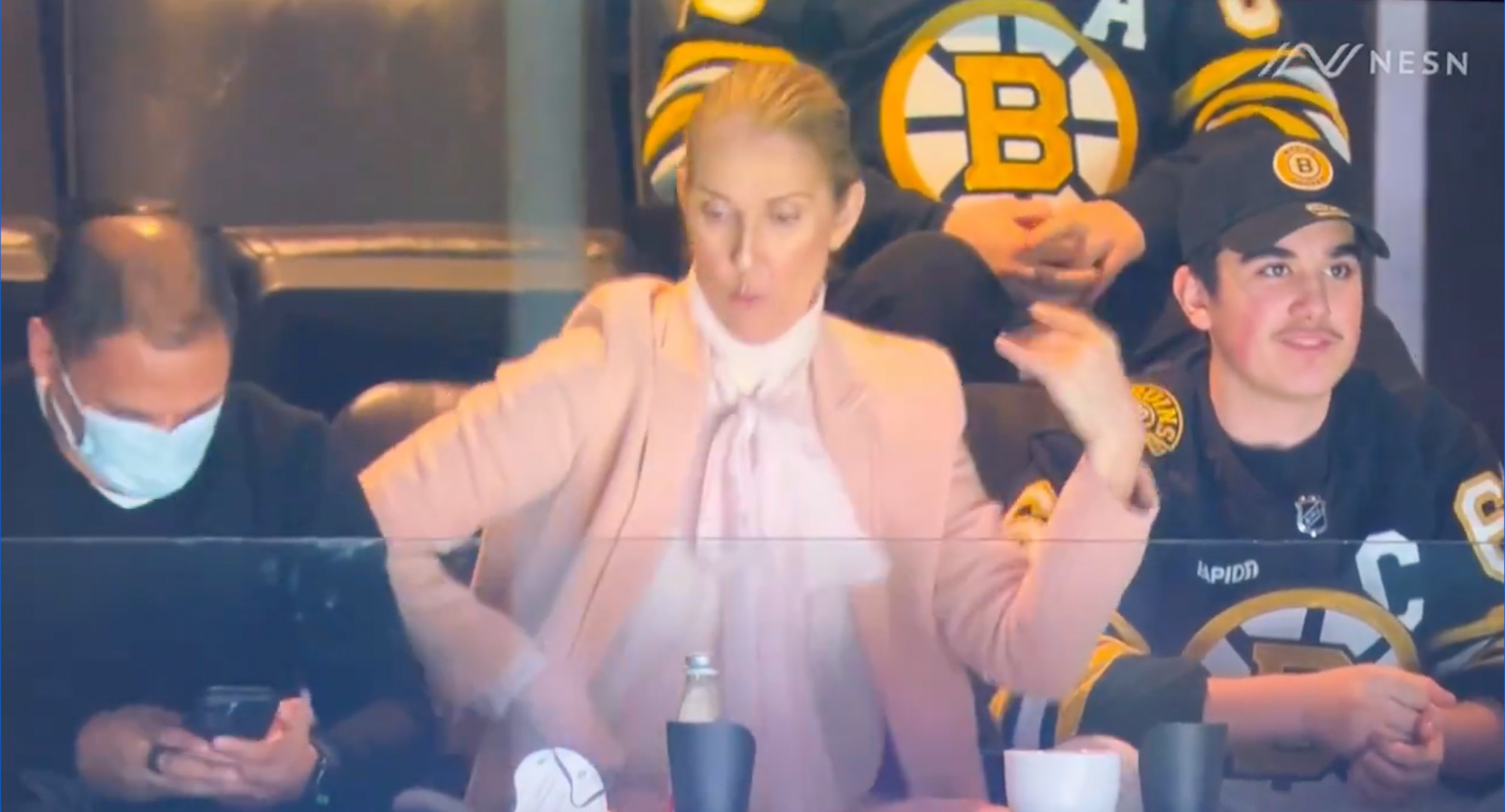 Celine Dion Swaps Mic for Air Guitar, Delights Fans at Boston Bruins Game
