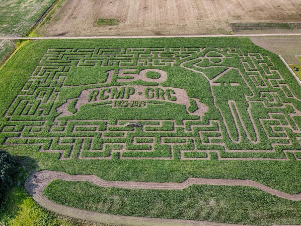 Edmonton Corn Maze Stabbing: Man Found Dead, Suspect Charged With Murder