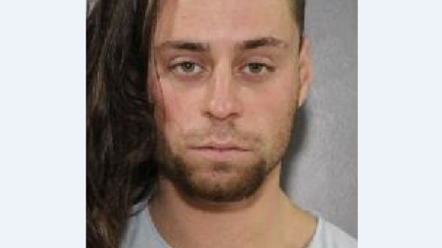 Horrifying Details Emerge in Surrey Real Estate Agent's Child Sex Abuse Case: 8-Year Prison Sentence Sought